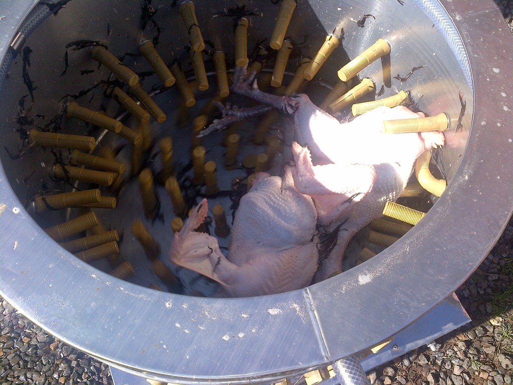 This is around the 1 minute mark.