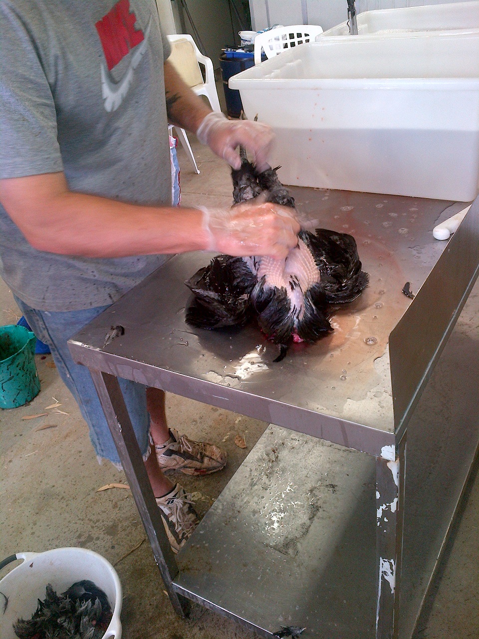 Hand plucking sucks balls.