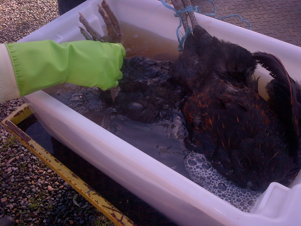 Scalding is important, and really seems more art than science.