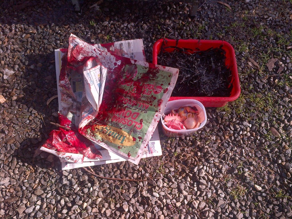 The viscera, blood, and feathers. None of the bird is wasted. Not a single atom.