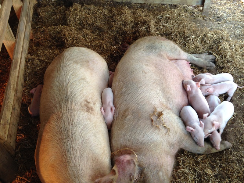 The danger is fairly obvious here.