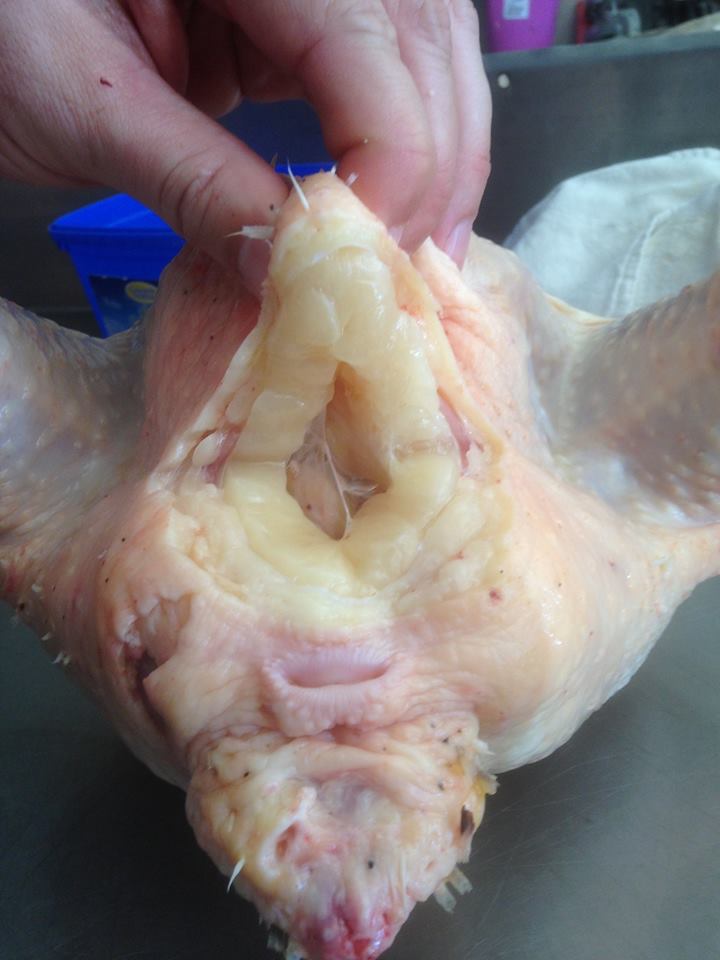 That layer of fat is why the Cobbs roast so well.