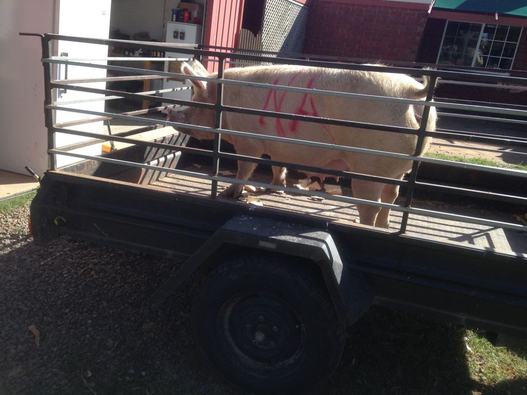 Smoked loaded and ready to go :(