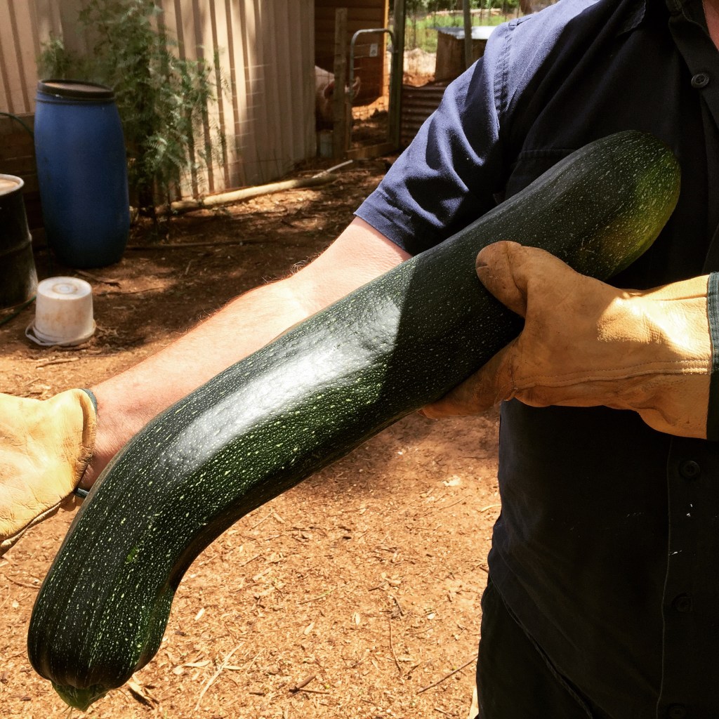 Believe it or not, that's not our biggest.