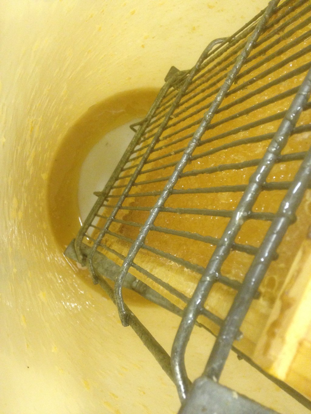 It didn't take long to see the results of our labour.