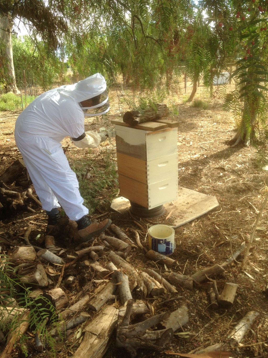 First coat going on.