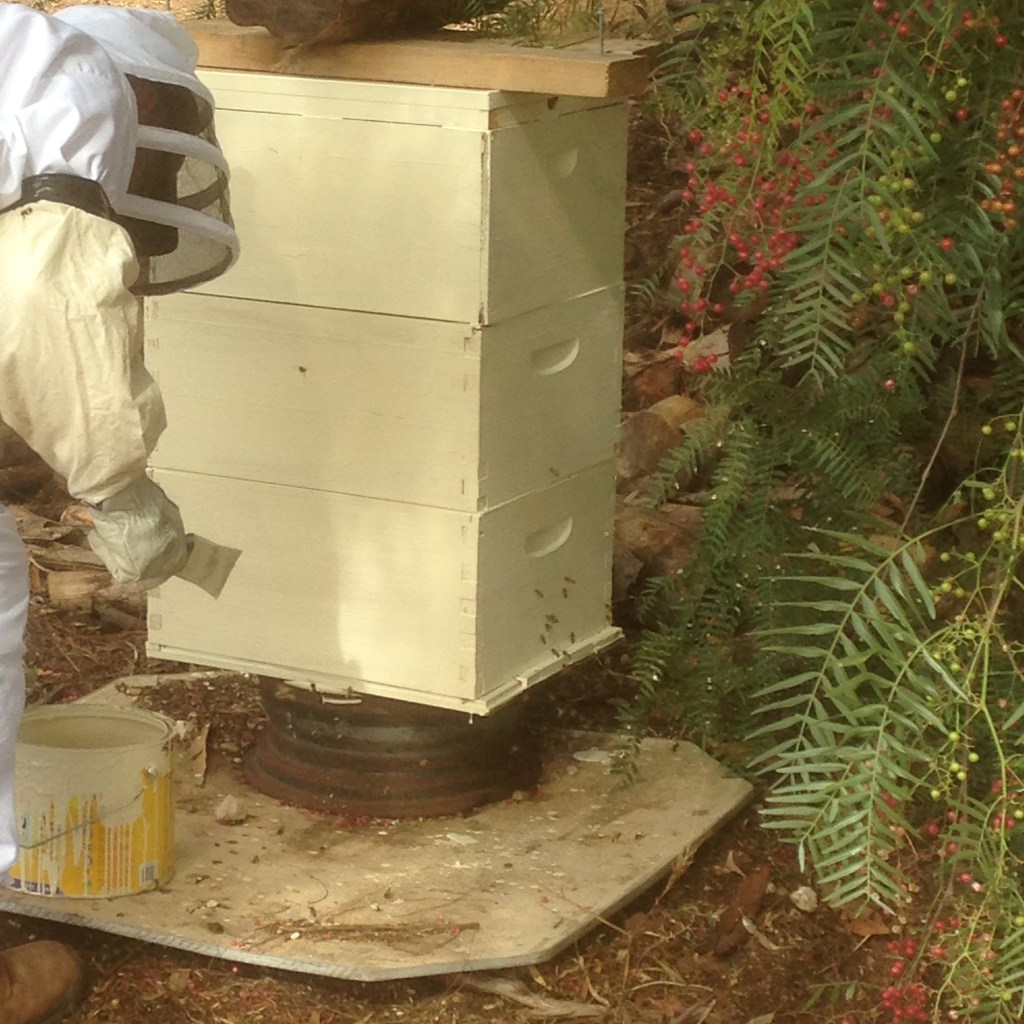 It actually turned out quite well, and the hive looks much nicer now.