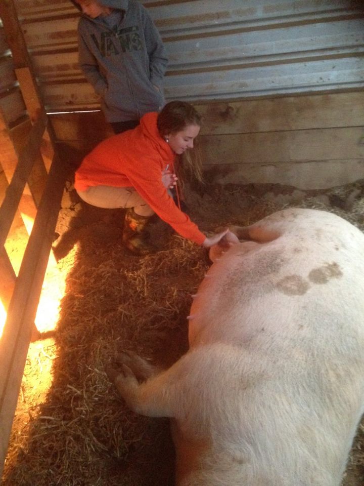 Gemma loving up on the new babies.