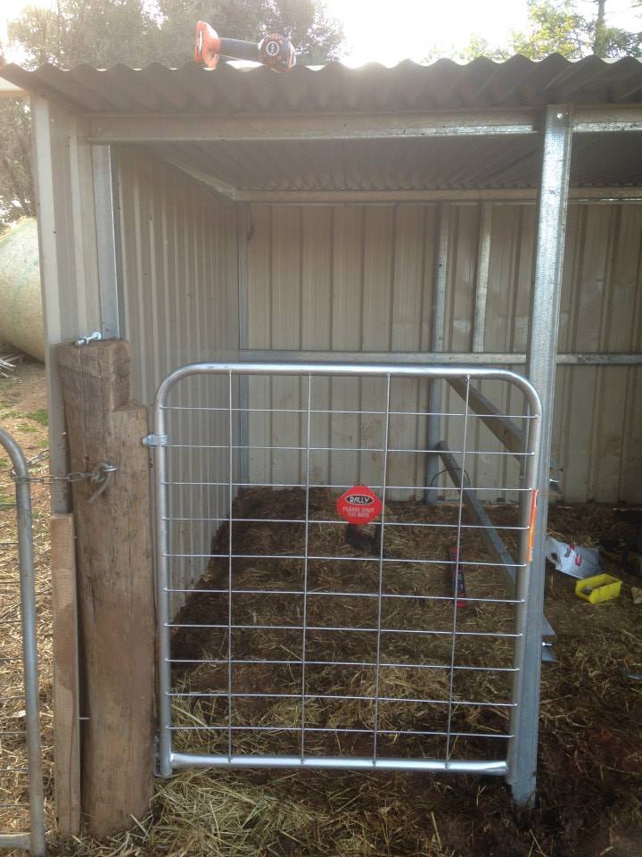 The new milking stall. It even works!