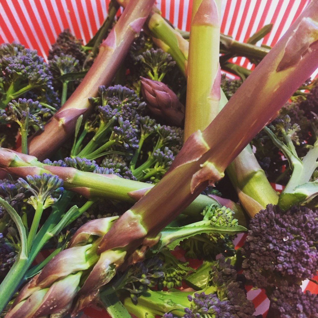 A garden harvest of purple sprouting broccoli and the first of our asparagus.