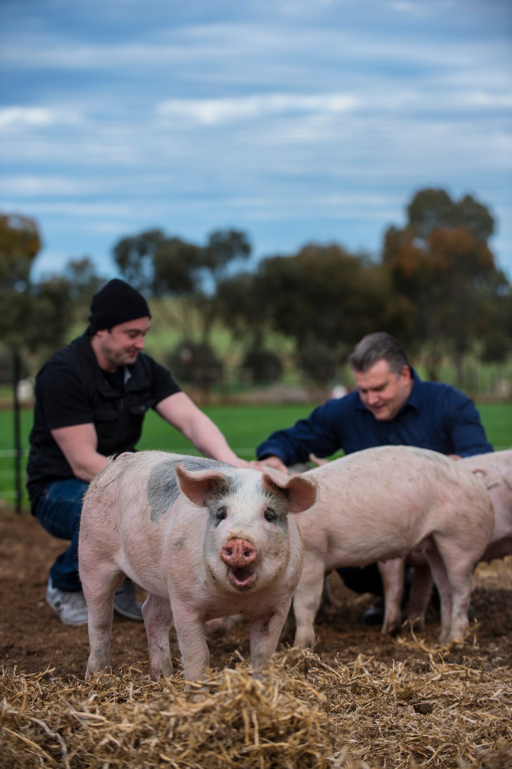 Happy pig is happy. Her name was Sparrow, and she's currently bacon to sell at the market. :) Photo: John Krüger