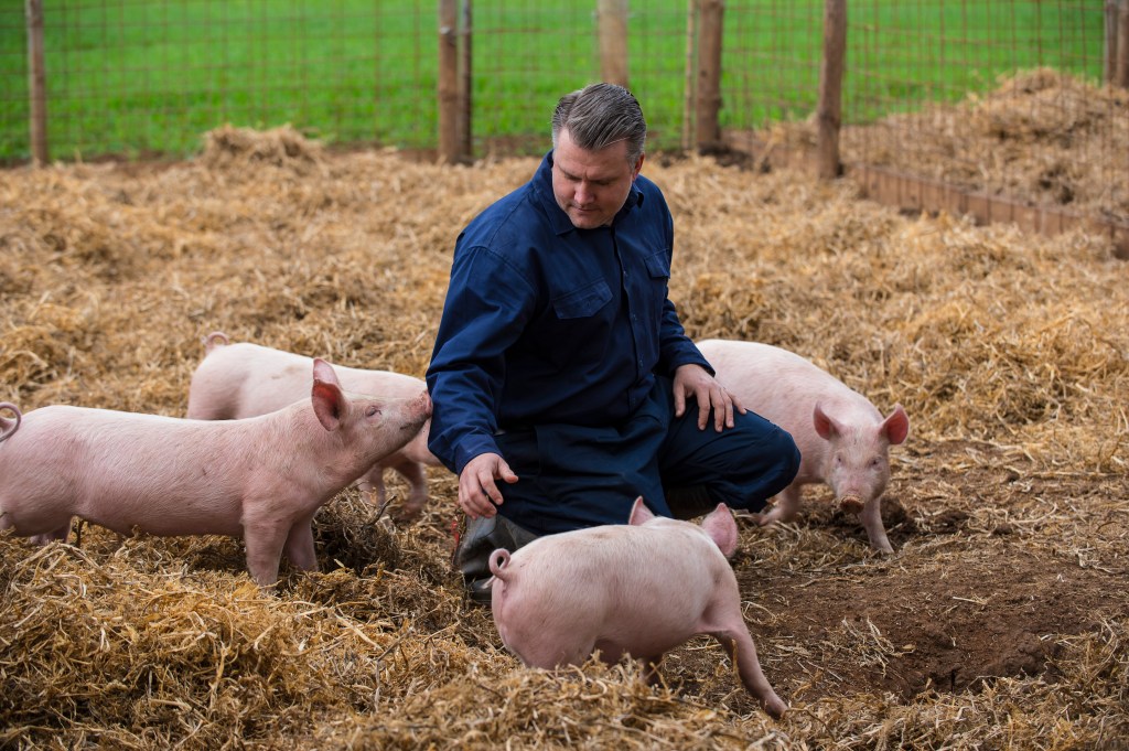 Piglets! Linhda hates those clothes on me, and I didn't realise why until I saw this picture. :) Photo: John Krüger