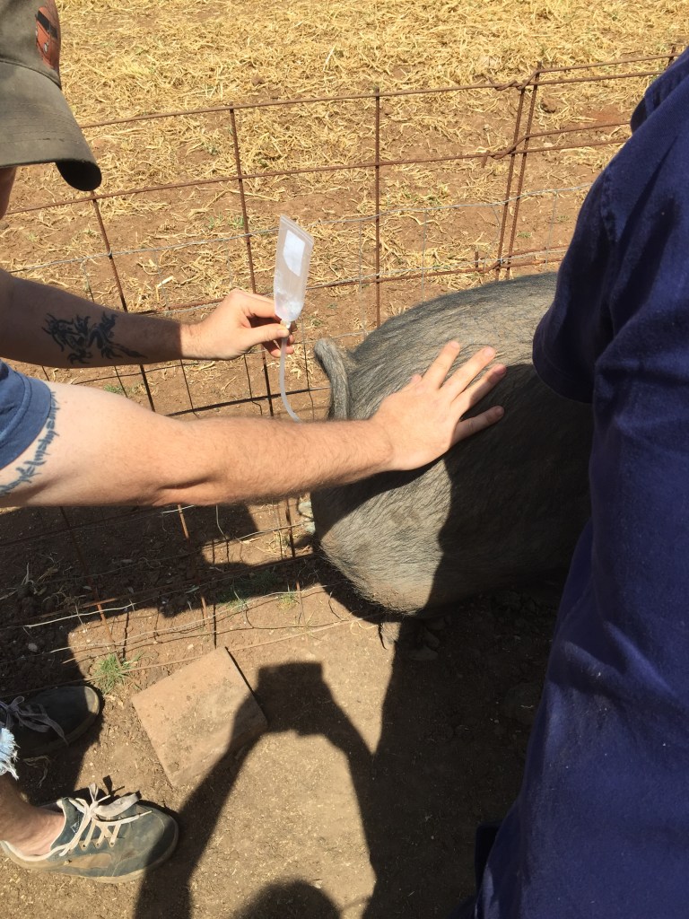 Almost done.  This took maybe two minutes.