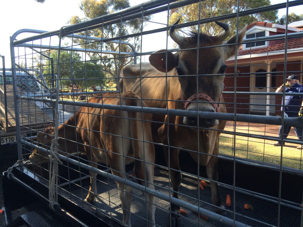 Loaded and ready for the trip. :(