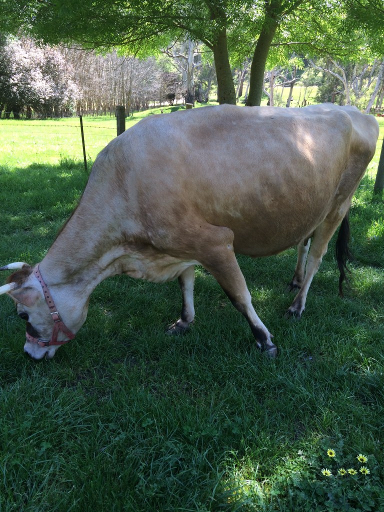 ...and neither did Clarisse.