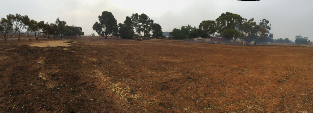 This is a panoramic shot facing West - the fire here would've been coming straight at the camera.