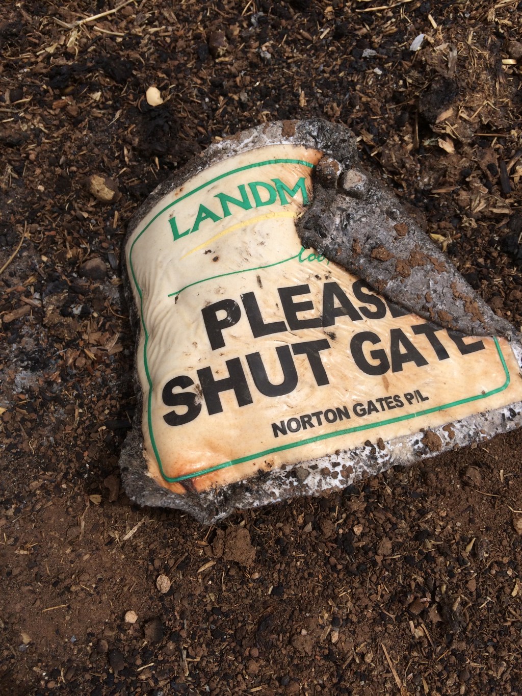 For some reason, I find this the saddest picture I took after the fire. :(