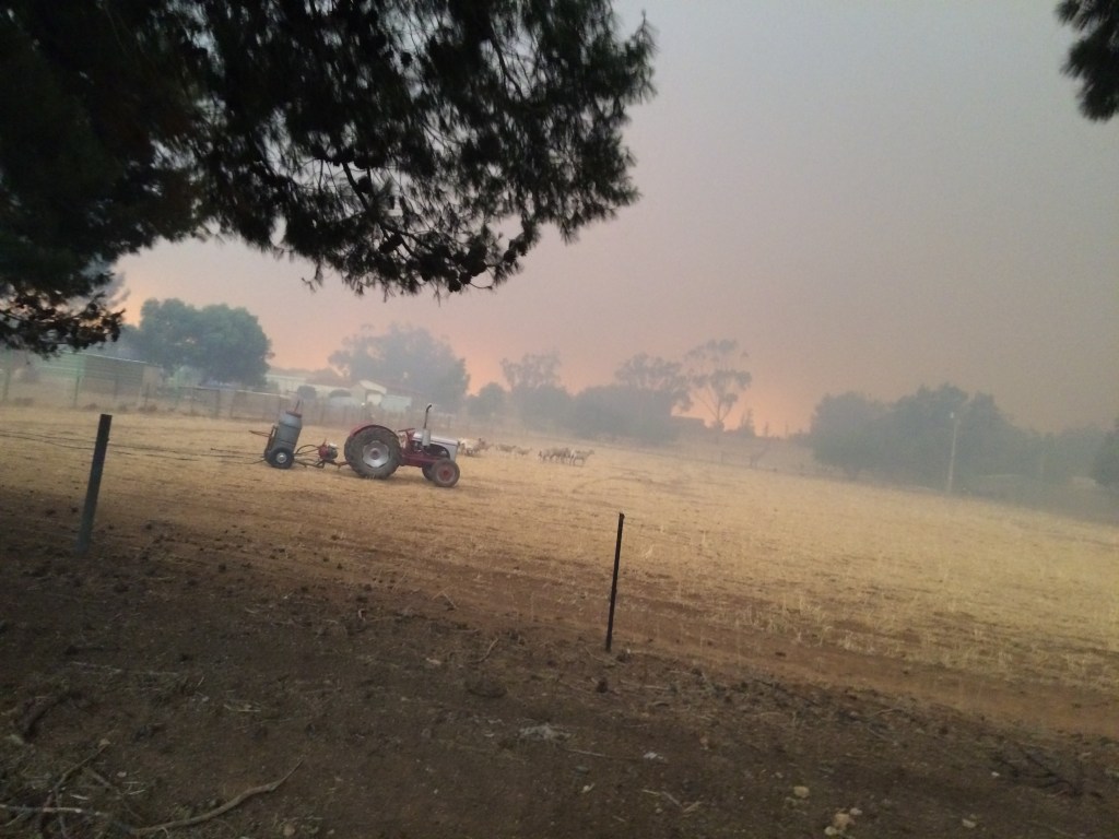 This is pointing East, just before the firestorm hit us from the West. The fire was around us at this point, and was already burning towards Freeling.