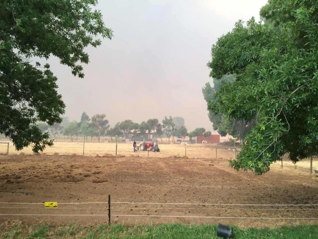 Getting the tractor and firefighting unit situated. Ironically, we used the firefighting unit to put out the tractor, and then the firehose burned so I had to use a wet towel.