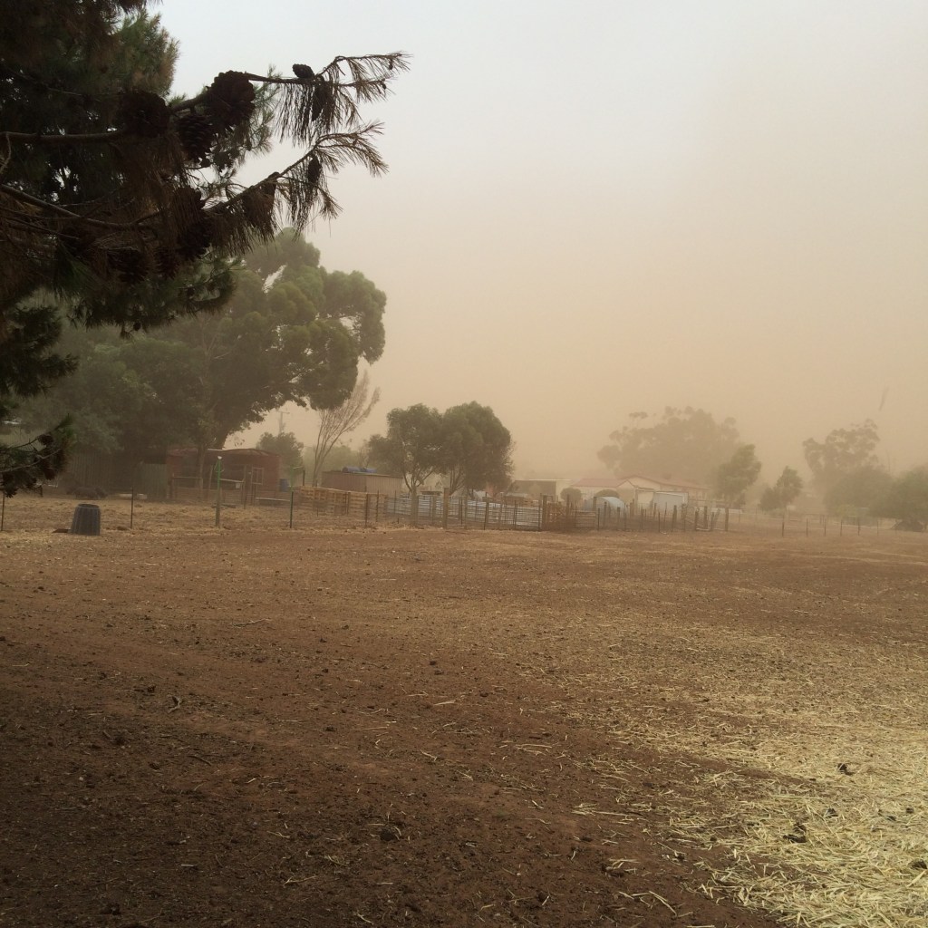 Back up towards the pig yards. We've rebuilt, so this must've been two or three weeks post-fire.