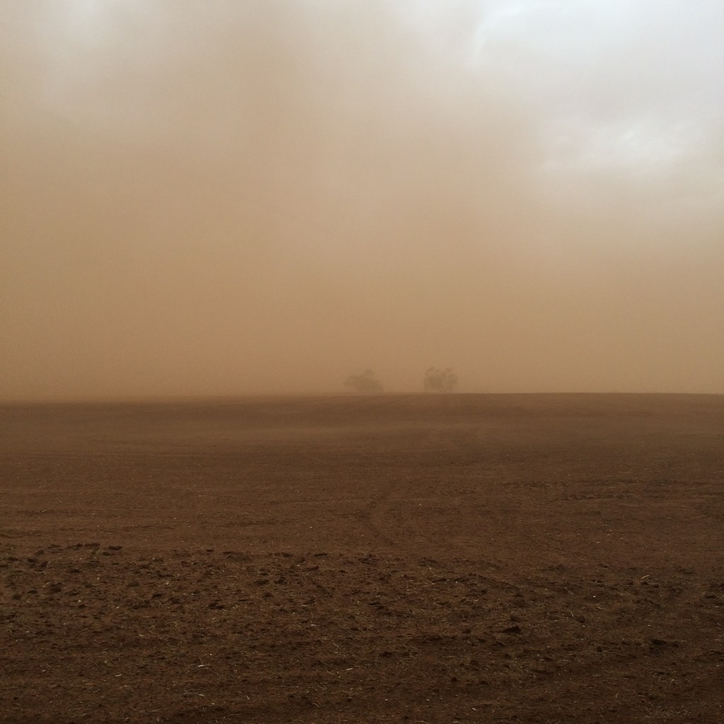 This is looking west, and is the direction from which the fire hit us. We were facing this way, watching it stream to the south and east when it changed directions can came straight at us. Note those two trees...