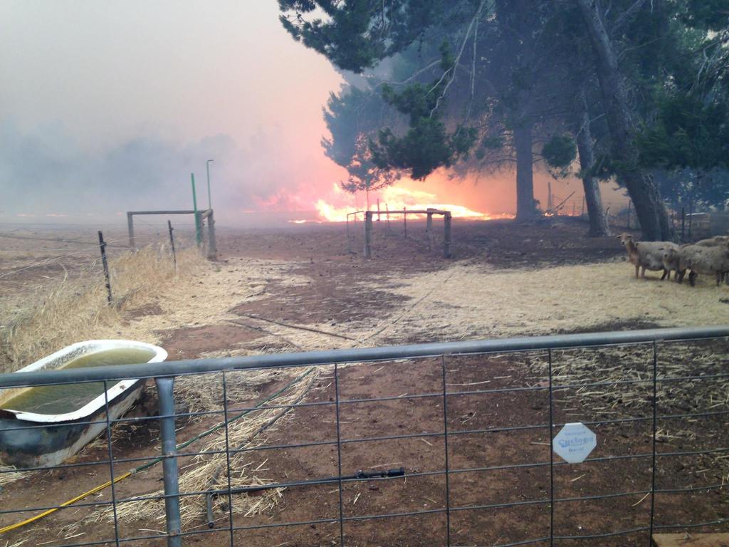 This picture was taken a fraction of a second later, and you see how far the flame has already started to burn into our paddock.