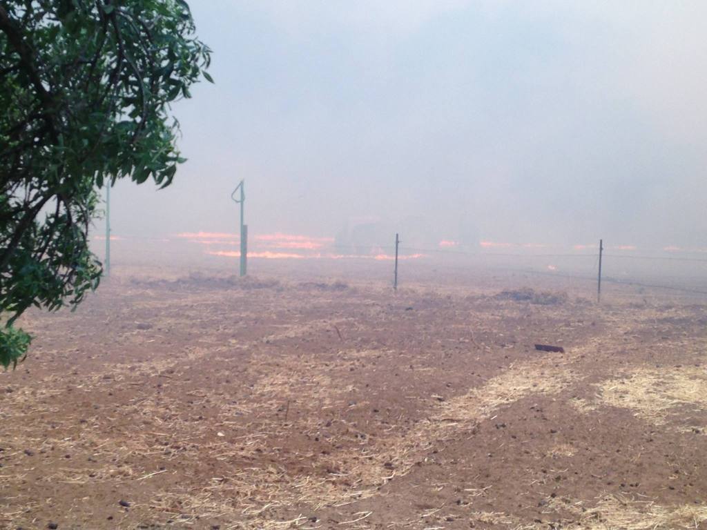 The back paddock burning.