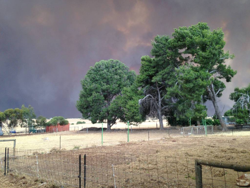 Looking South and West across our back paddock - there's another picture later that shows a similar vantage but you can see the flames.