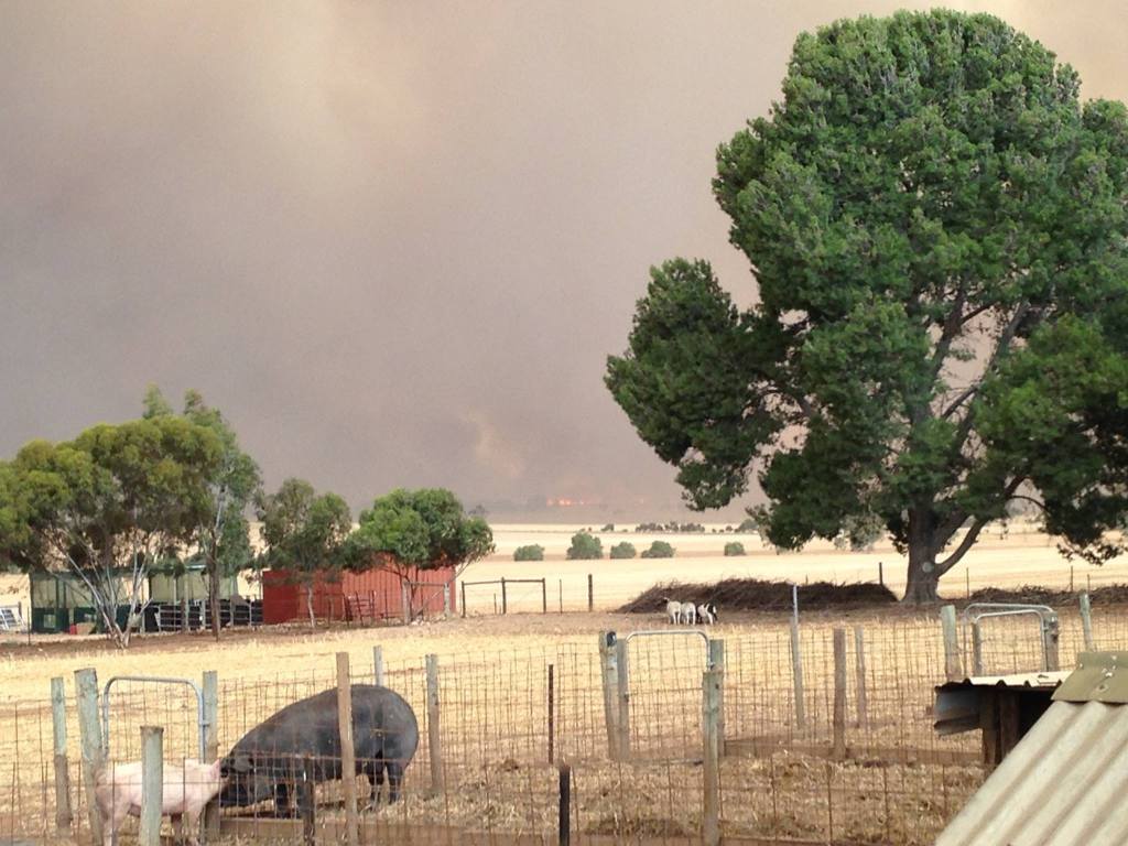 There's a group of pictures earlier from nearly the same vantage that show the smoke. This one is shortly after I got home, and is when the flames first showed.