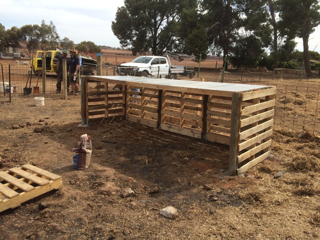 This is one of the pig shelters that Mark designed and Mark and Miranda put up. It'll need some insulation come the cooler weather, but it works a treat now.