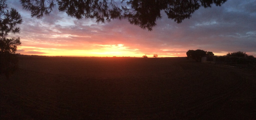 A different kind of fire - a sunset a couple of days after the bushfire came through. It may have burned us, but it didn't burn away the pretty. :)