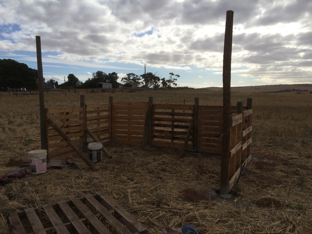 Our first pig shelter on the place.