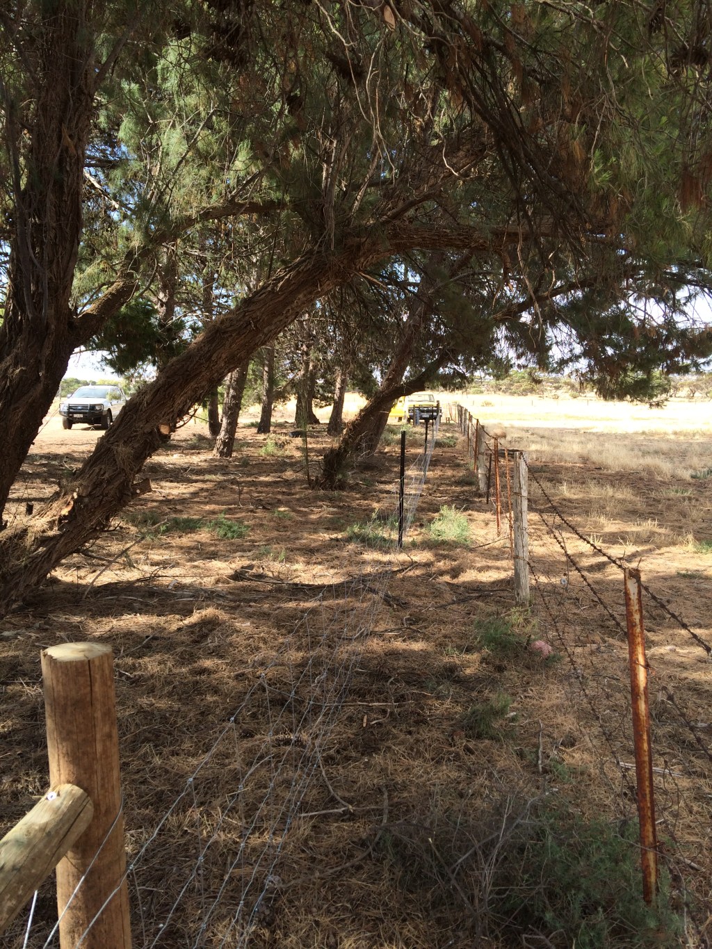 We learned from our other race, and made this one a bit narrower. You don't want them turning around.