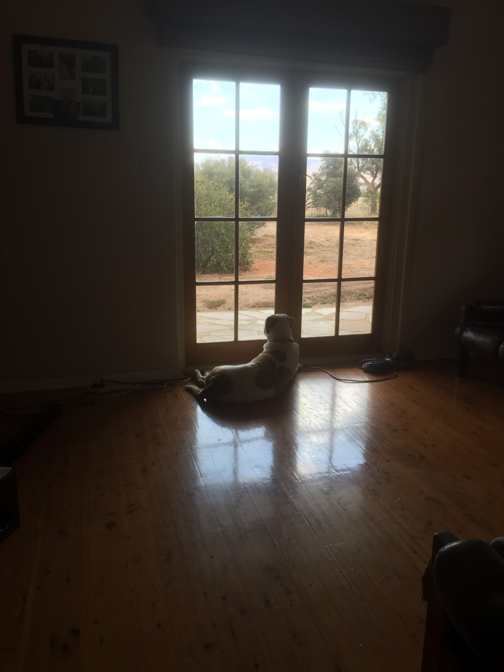 This is the only real picture I have of the house. While the house wasn't really a consideration for me, it is genuinely very nice - 9 foot ceilings, timber floors, 4 bedrooms + study, new kitchen etc. To be honest, I like it more than the place at Templers. 