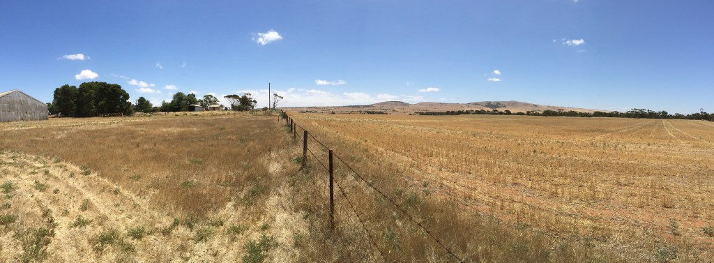 A bit of a panoramic shot facing west from down near the loading yards.