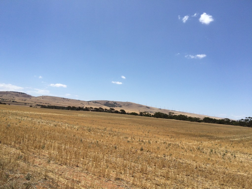 Facing the wind turbines. They stretch for miles.