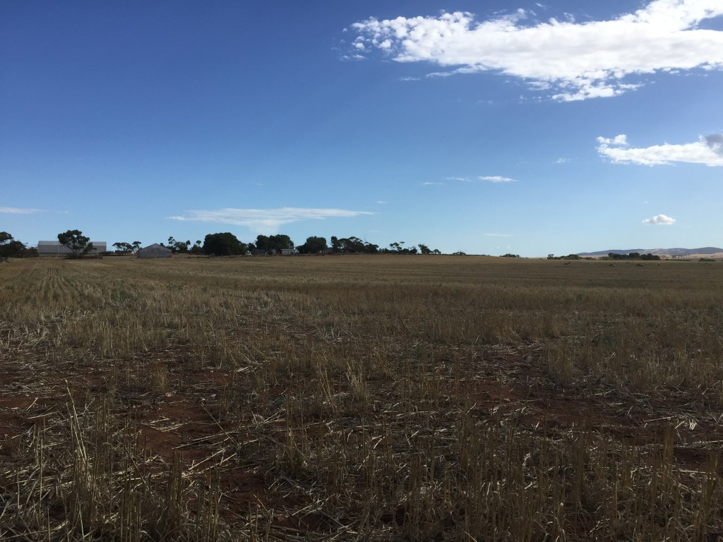 From near the northern boundary facing the house and sheds.  
