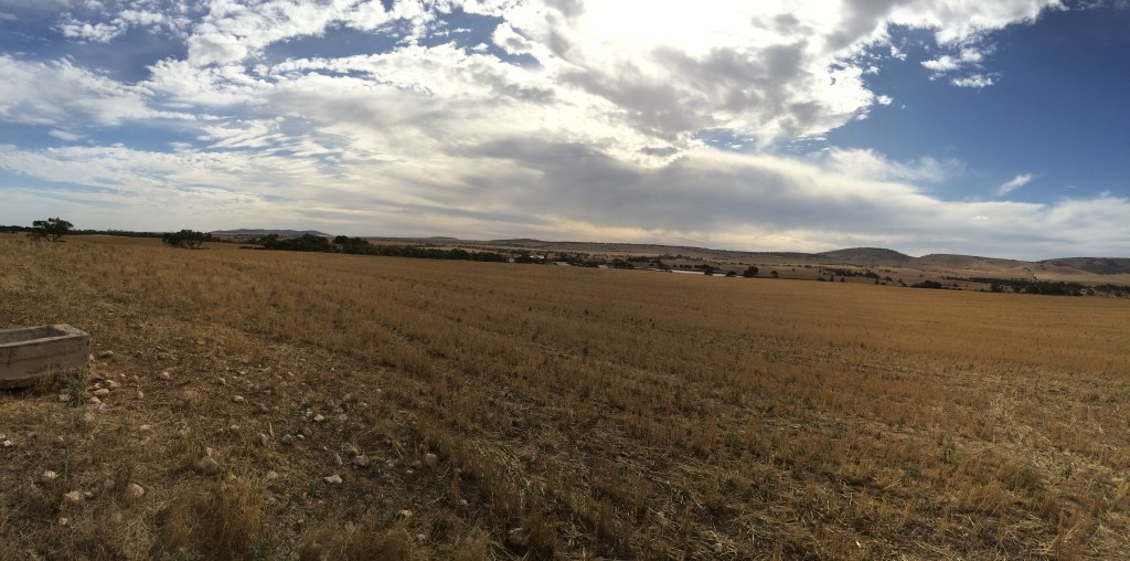 This is standing to the west of the house, and facing west. Believe it or not, that's an intensive pig farm just over those trees. 