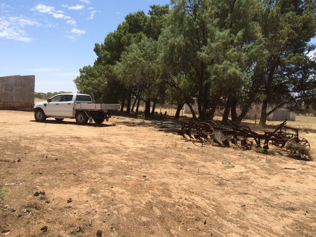 We ended up ploughing the ground between its old spot and its new spot just a little. :) You can see how we've cleaned up under the trees here.  Those trees are probably 50 or 60 years old, and I doubt they'd ever been trimmed back. We had to make it pig friendly and make it so we could walk under them.