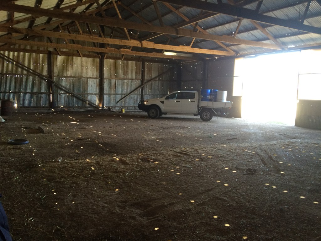 This isn't a great shot, but it has the Ranger for scale.