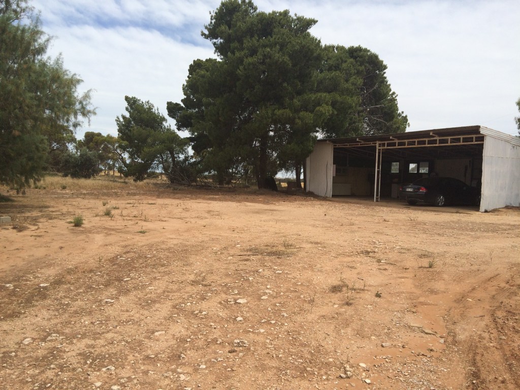 Longer view of the workshop. Those trees to the left are all cleaned up now and it's fenced off for the breeders.