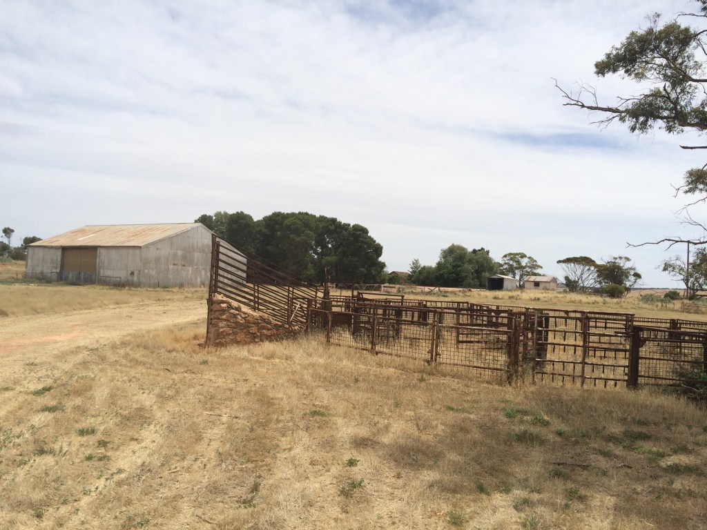 This is where it's at! These are my loading yards. So beautiful, and so freaking useful!