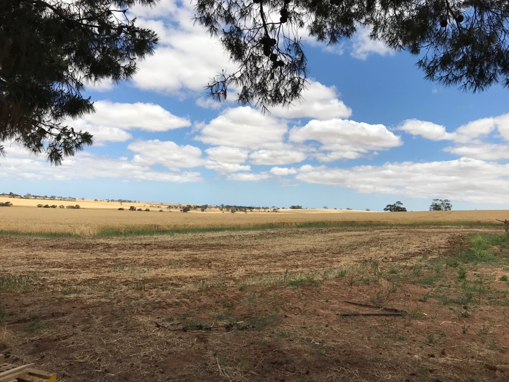 November 25th, 2016. You can see the two trees to the right of the picture, and then match them with the same two trees in the previous picture. It's gives an idea of what rolled over us.