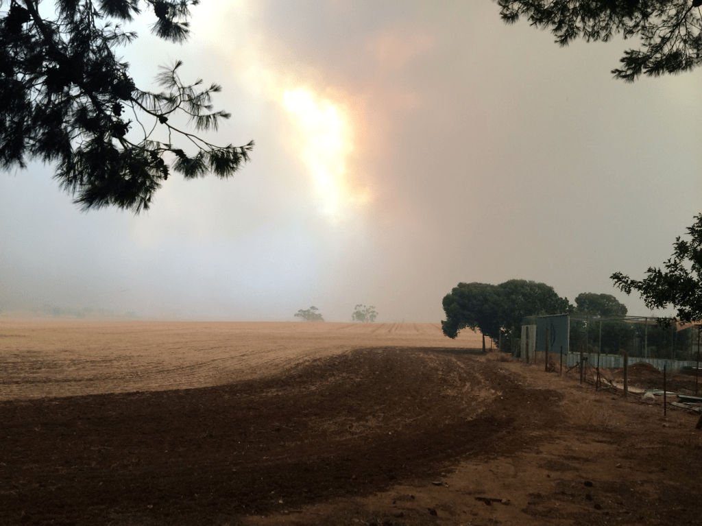 November 25th, 2015. This is just as the wind changed and the fire storm started to roll towards us.